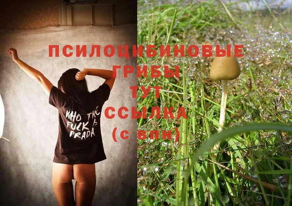 соль курить ск Дмитров